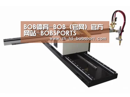 案例展示一