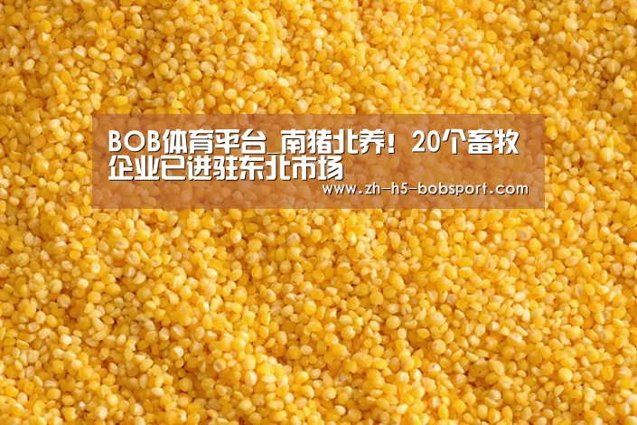 BOB体育平台