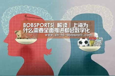 BOB官方网站