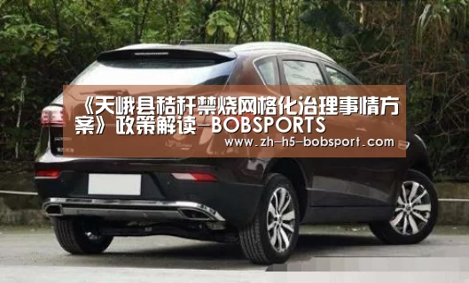 《天峨县秸秆禁烧网格化治理事情方案》政策解读-BOBSPORTS(图2)
《天峨县秸秆禁烧网格化治理事情方案》政策解读-BOBSPORTS(图2)