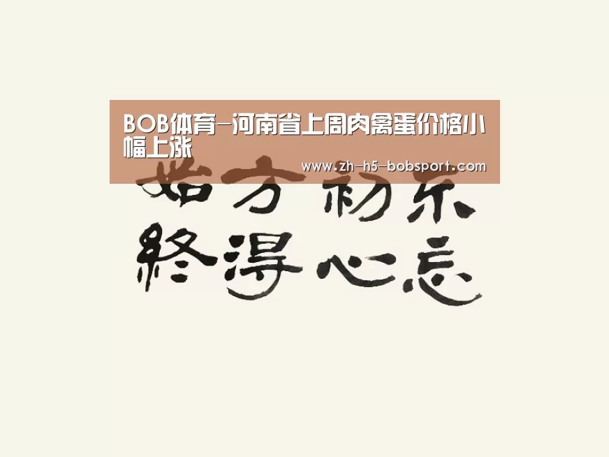 BOB体育平台