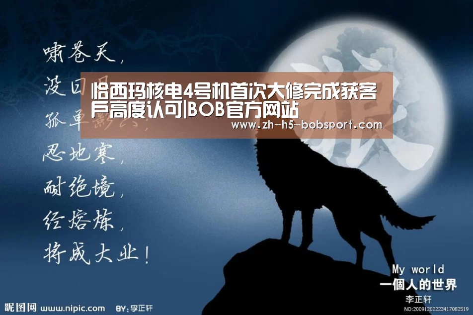恰西玛核电4号机首次大修完成获客户高度认可|BOB官方网站(图2) BOB体育