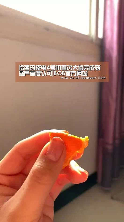 恰西玛核电4号机首次大修完成获客户高度认可|BOB官方网站(图3) BOB体育平台