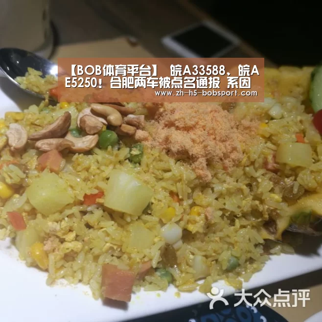 【BOB体育平台】
皖A33588、皖AE5250!合肥两车被点名通报 系因交通违法过多(图3) BOB体育