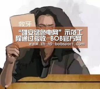 BOB体育平台