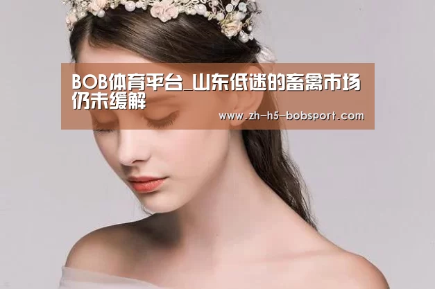 BOB体育平台_山东低迷的畜禽市场仍未缓解(图1) BOB体育平台_山东低迷的畜禽市场仍未缓解(图1)