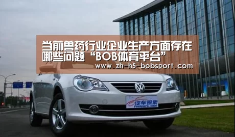 当前兽药行业企业生产方面存在哪些问题“BOB体育平台”(图2) BOB体育