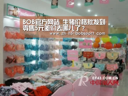 BOB体育