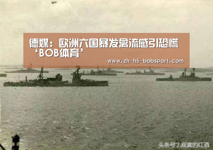 德媒:欧洲六国暴发禽流感引恐慌‘BOB体育’(图1) BOB体育平台