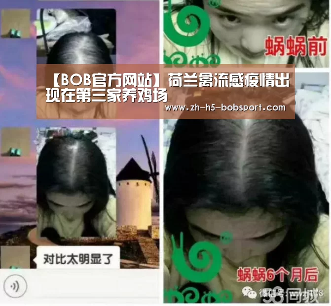 【BOB官方网站】荷兰禽流感疫情出现在第三家养鸡场(图1) BOB体育平台