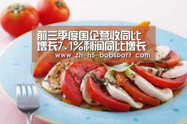 前三季度国企营收同比增长7.1%利润同比增长6.6%“BOBSPORTS”(图1) BOB官方网站