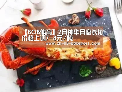 BOB体育平台