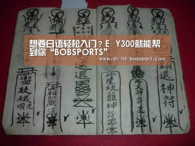 想要日语轻松入门?E-Y300就能帮到你“BOBSPORTS”(图3) BOB体育平台