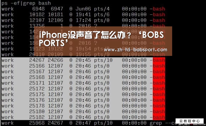iPhone没声音了怎么办?‘BOBSPORTS’(图1) BOB体育