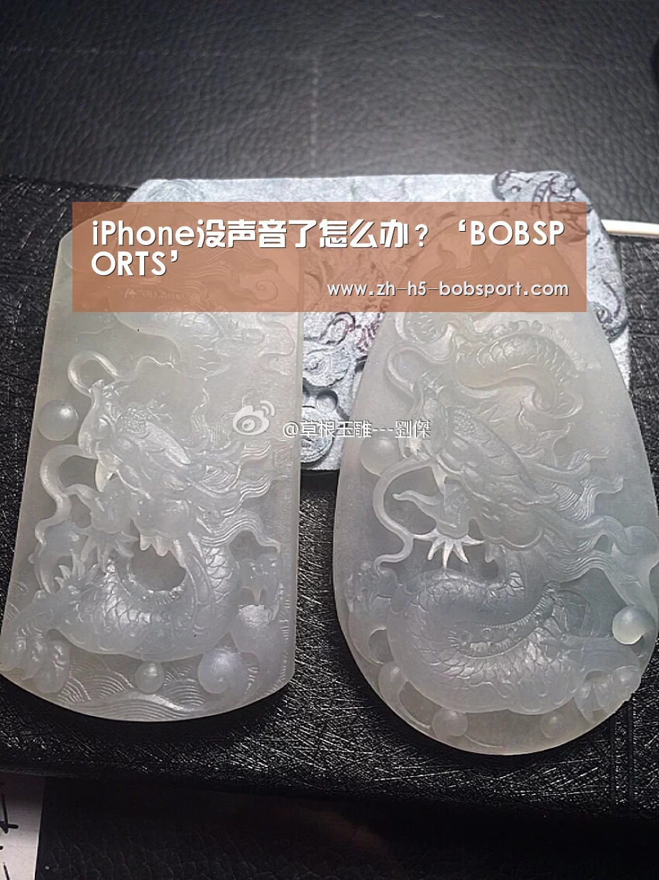 iPhone没声音了怎么办?‘BOBSPORTS’(图2) BOB官方网站