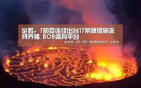 必看,7部委连续出台17条硬措施支持养猪_BOB体育平台(图2) BOB体育平台