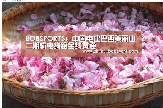 BOBSPORTS:中国电建巴西美丽山二期输电线路全线贯通(图2) BOB体育平台