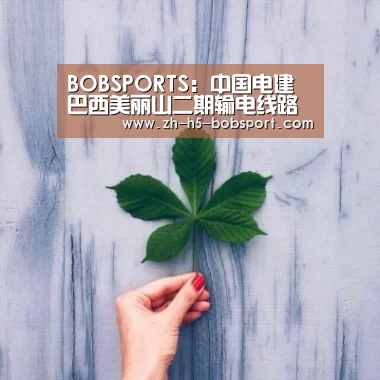 BOBSPORTS:中国电建巴西美丽山二期输电线路全线贯通(图1) BOB体育平台