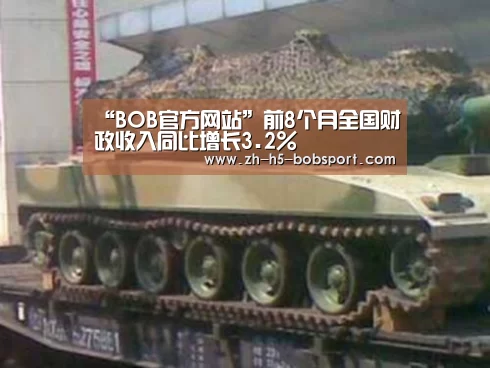 BOB体育