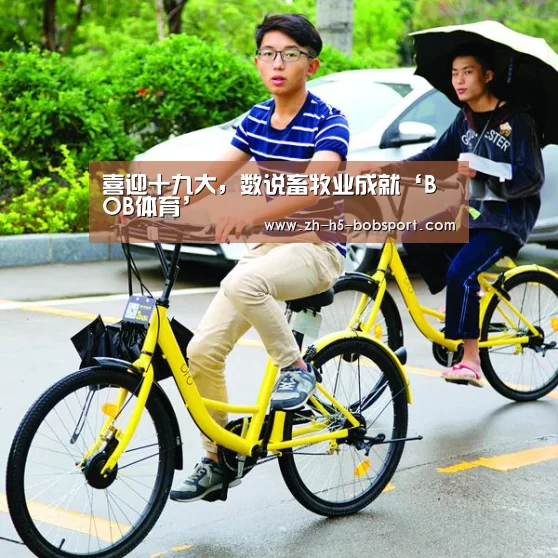 喜迎十九大,数说畜牧业成就‘BOB体育’(图1) 喜迎十九大,数说畜牧业成就‘BOB体育’(图1)