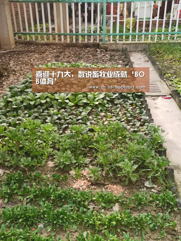 喜迎十九大,数说畜牧业成就‘BOB体育’(图3) BOB体育