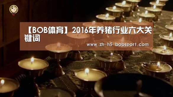【BOB体育】2016年养猪行业六大关键词(图1) BOB官方网站